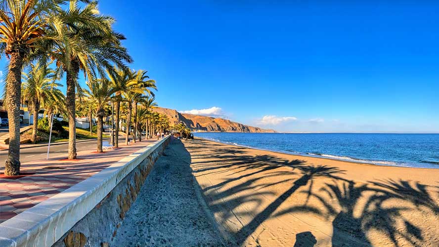 Playa frente al gimnasio Pure Muscle Gym